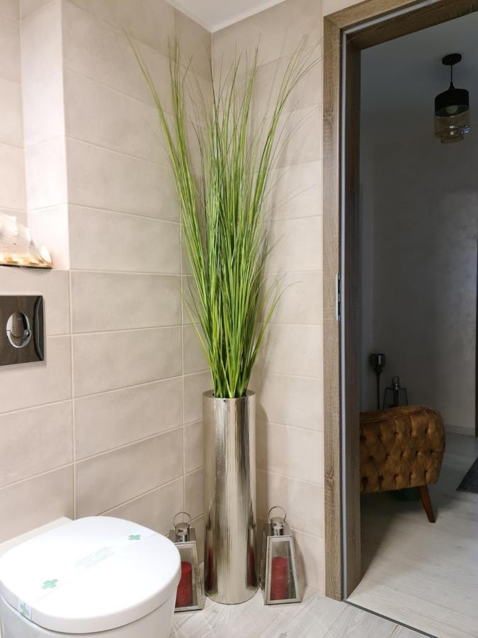 Apartment Alonisos Lux Брашов Екстер'єр фото
