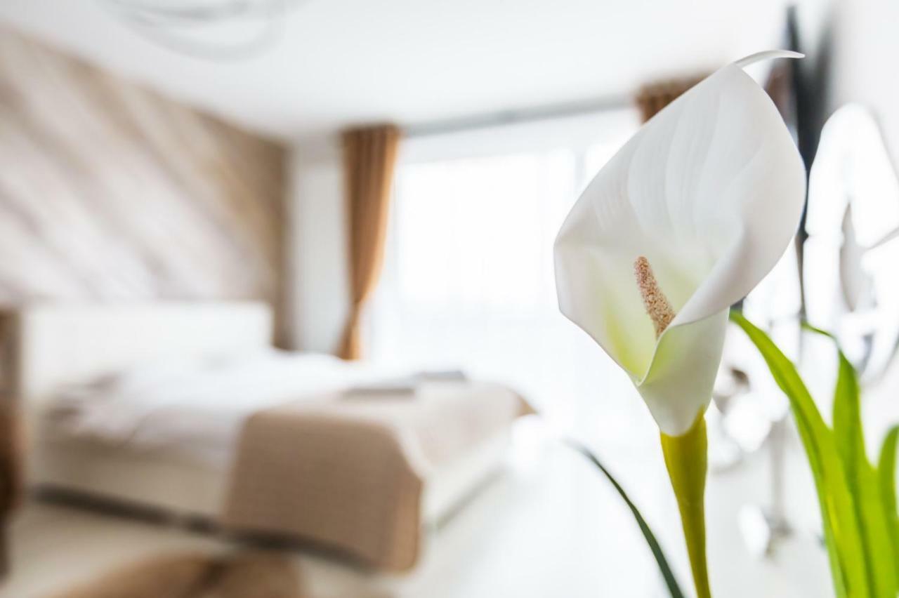 Apartment Alonisos Lux Брашов Екстер'єр фото